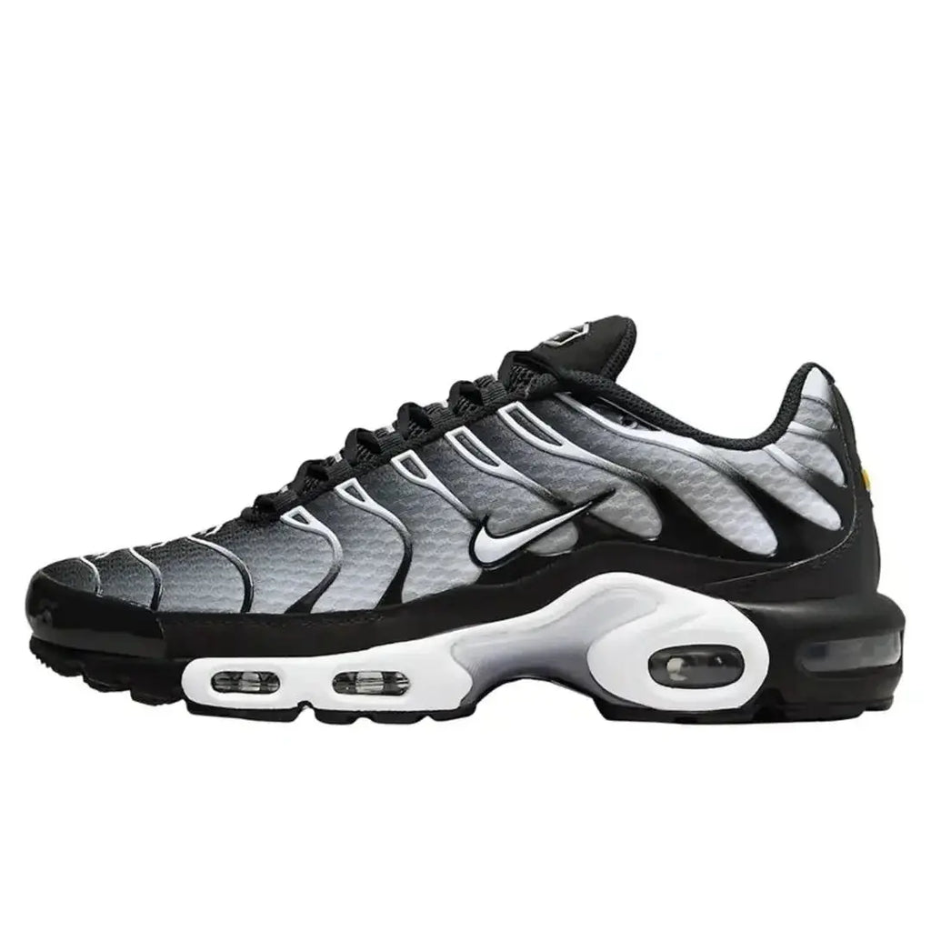 Air Max Plus TN Metallic Silver