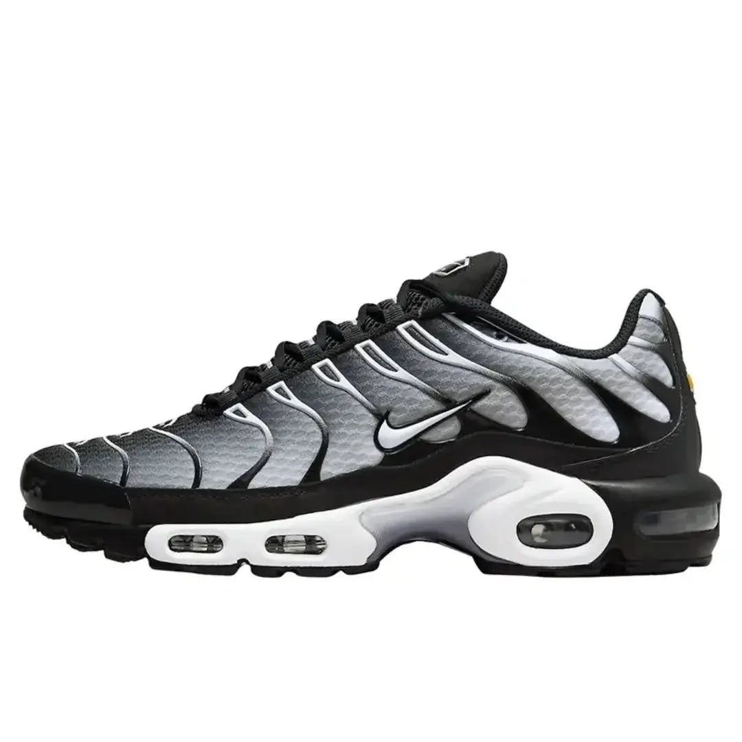 Air Max Plus TN Metallic Silver