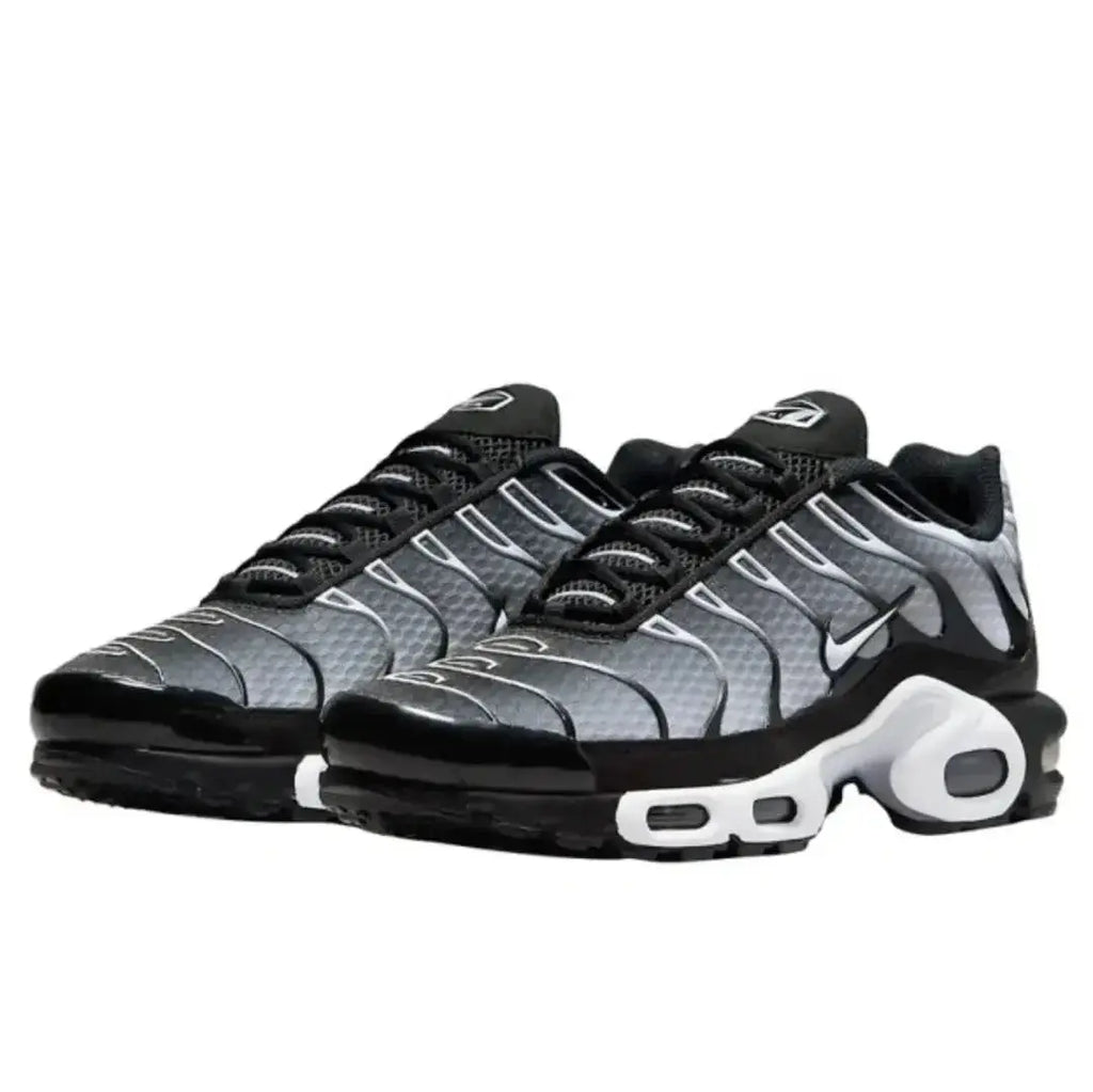 Air Max Plus TN Metallic Silver