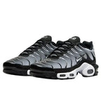 Air Max Plus TN Metallic Silver