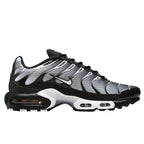 Air Max Plus TN Metallic Silver