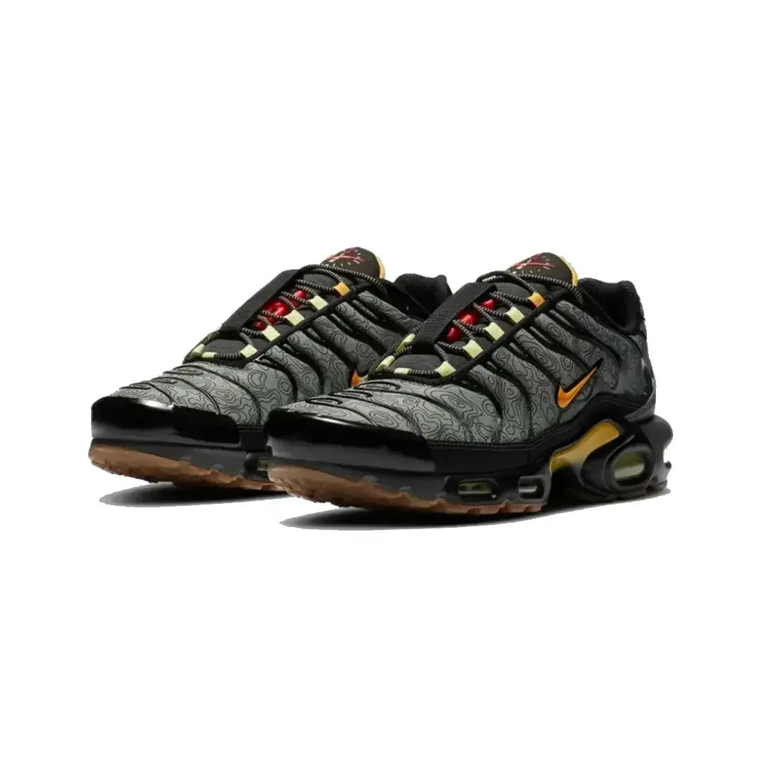 Air Max Plus TN Fresh Perspective