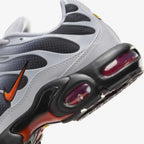 Air Max Plus TN Wolf Grey