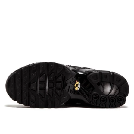 Air Max Plus TN Black