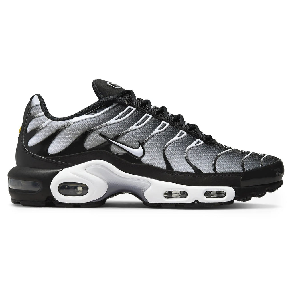 Air Max Plus TN Grey
