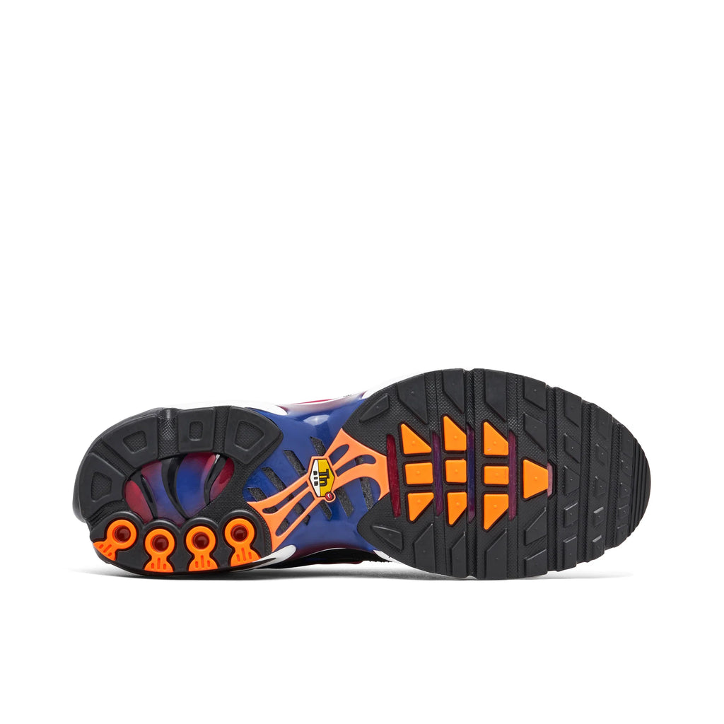 Air Max Plus TN FC Barcelona