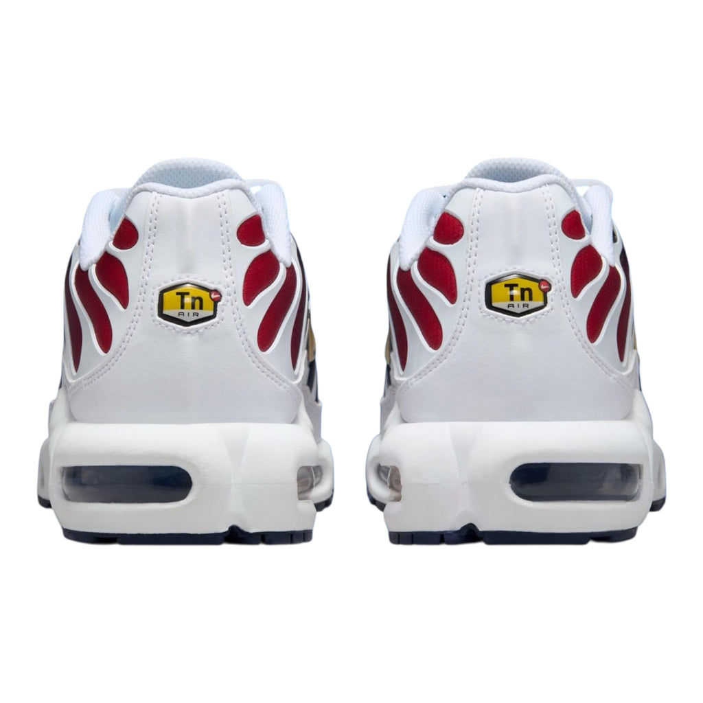 Air Max Plus TN PSG