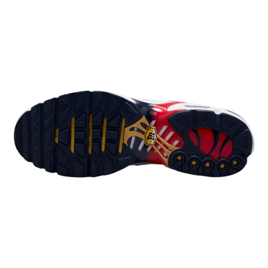 Air Max Plus TN PSG